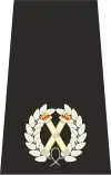 UK Police Assistant Chief Constable Epaulette