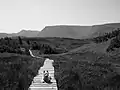 A dog on the path to the Lookout