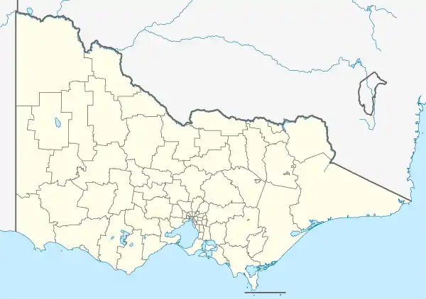 Phillip Island is located in Victoria