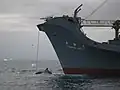 Yūshin Maru with a Whale