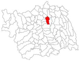 Location in Bacău County