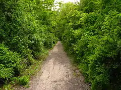 Pathway entrance