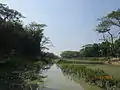 Banar River at Kashiganj, Trishal