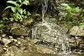 Waterfall on Barton Creek