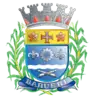 Official seal of Barueri