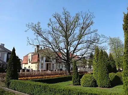 View on Wyspiańskiego street