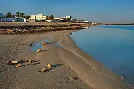 Al Thakhira Beach