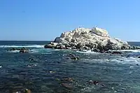 Beach near Reñaca