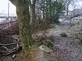 The 'park' outline where it diverges from the hedge bordering Fergushill Road