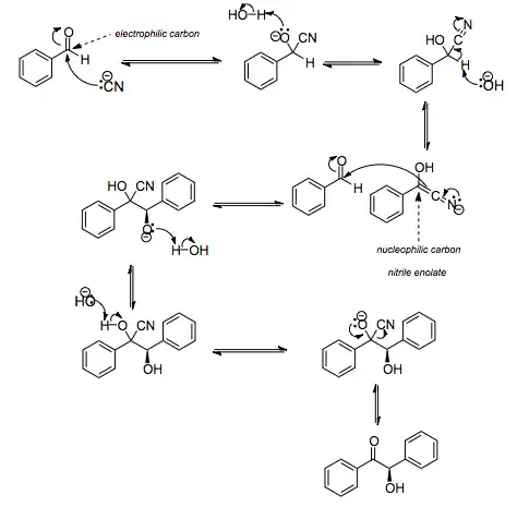 Mechanism of the benzoin addition