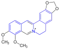 Berberine (one additional ring closure with incorporated N-methyl)