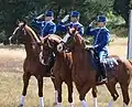 Royal Swedish Life Guard dragoons in 2015