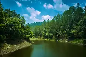 Bhalu Dam