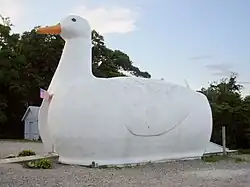 The Big Duck in Flanders, New York (1931)