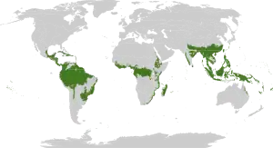 moist forest regions