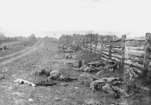 Black and white photo shows the dead bodies of soldiers killed next to a fence, which is on the right.