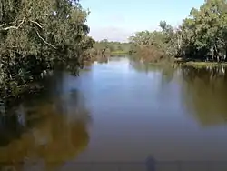 The Bogan River at Nyngan