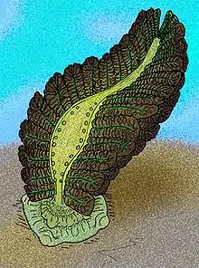 Artists interpretation of the enigmatic Bomakellia kelleri.