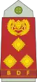 Brigadier(Botswana Ground Force)