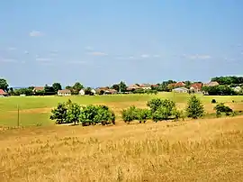 A general view of Bournois