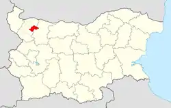 Boychinovtsi Municipality within Bulgaria and Montana Province.