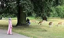 Markfield Institute student visiting Bradgate Park where she is watching deer graze nearby