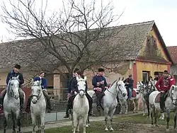 Carnival riding in Branjin Vrh