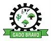 Official seal of Gado Bravo