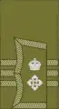 Lieutenant-Colonel