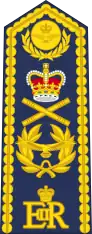 Marshal of the Royal Air Force (shoulder board)