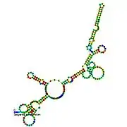 BsrG:  Secondary structure taken from the Rfam database. Family RF01412