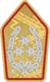 General(Austrian Army)