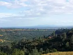 Butte County in 2005, with a view of the Sutter Buttes in the background