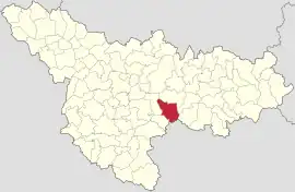 Location in Timiș County