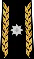 Brigadier(Swiss Army)