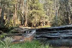 La Quebrada de Santa Bárbara conservation area is located in Pueblo Nuevo Municipality