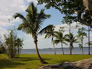 View of the Caloosahatchee River from the estate