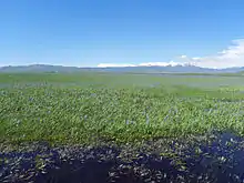 Solder Mountains from Camas Prairie Centennial Marsh