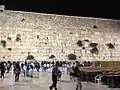 Caper bushes on the Western Wall in Jerusalem