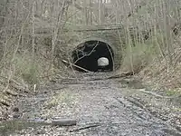 Carr's (Witches') Tunnel