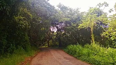 PR-15 in Guayama, heading north