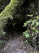 Cavern Creek Cave