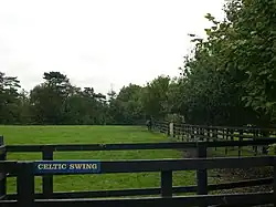 Celtic Swing in retirement at the Irish National Stud in 2004