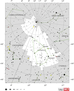 Cepheus