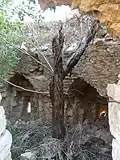 Overgrown ruins of the southeasternmost tower