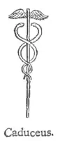 The caduceus