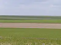 A typical landscape of Champagne chalk in the south of the department.