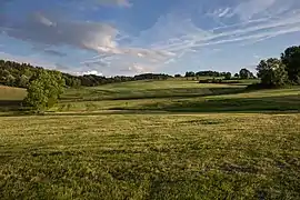 Pastures of freshly-cut grass near Aboën, Loire, France.