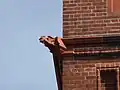 Detail of gargoyle sculpture at high level of tower, after restoration