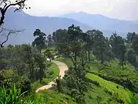 Rte 1099 ends in the jungle at Mae Thun Noi, Omkoi